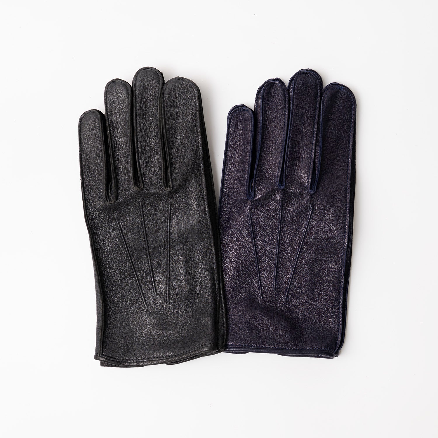 WL_sp_bisi_6a4ea1ae-b63f-420c-