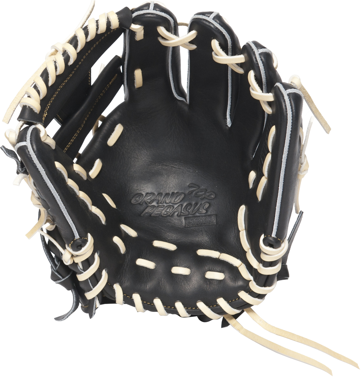 ワールドペガサスジャパン株式会社