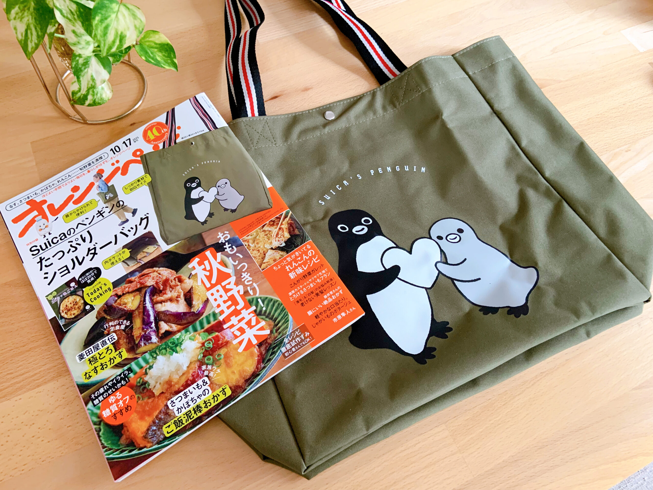 大容量でアウトドアや買い物にぴったり♡【Suicaのペンギンのたっぷり