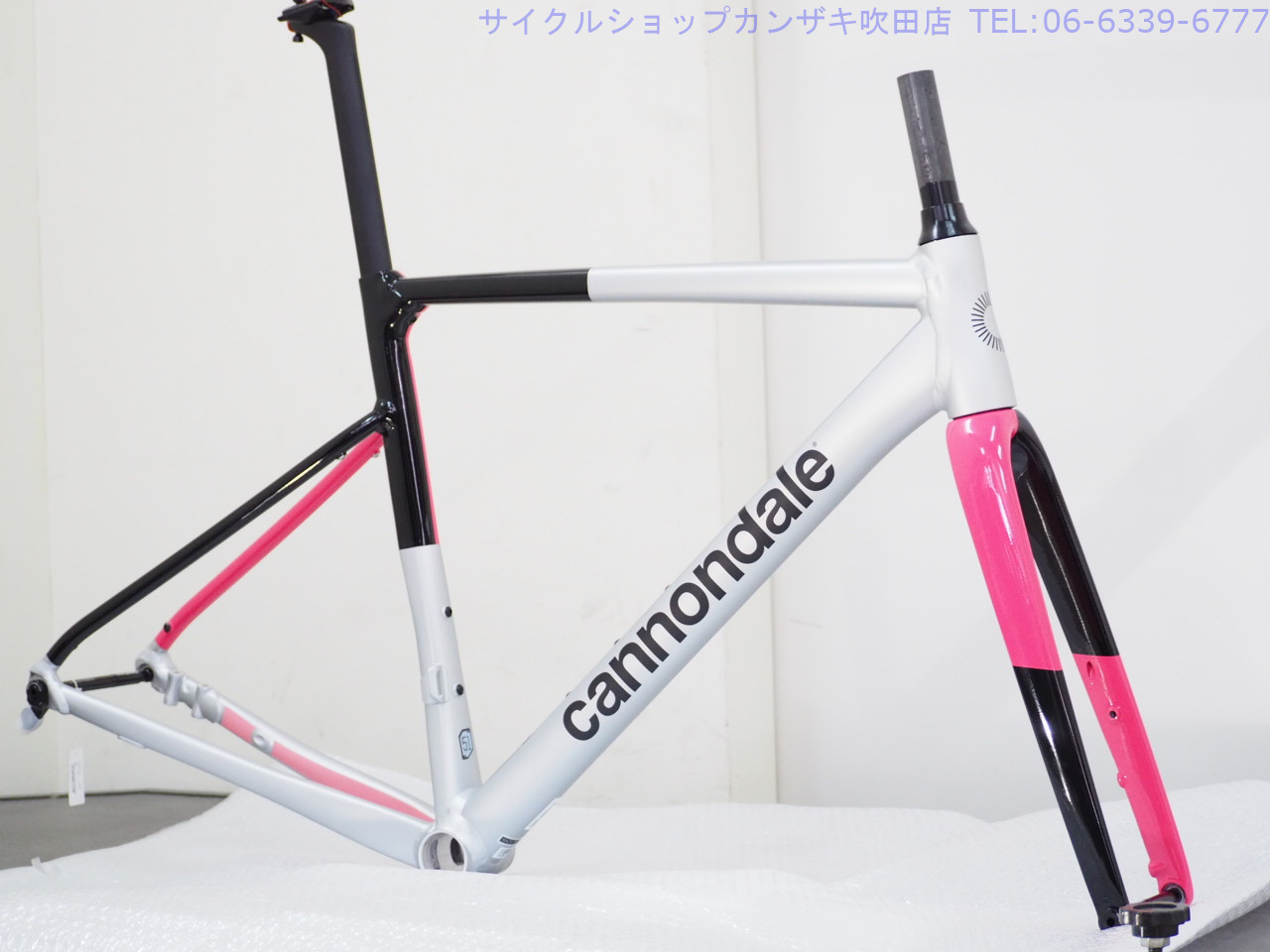 CANNONDALE(キャノンデール) CAAD13 フレームセット 2023 | サイクル