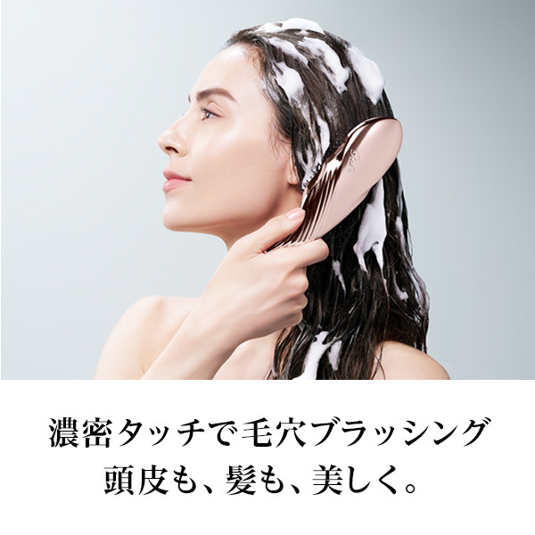 おひとり様2点まで】リファ イオンケアブラシプレミアム / リファ