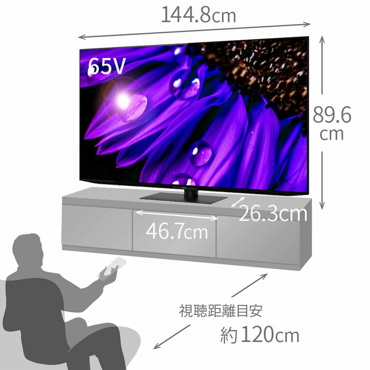 シャープ アクオス 65インチ 4K有機ELテレビ 4T-C65EQ1 | Costco Japan