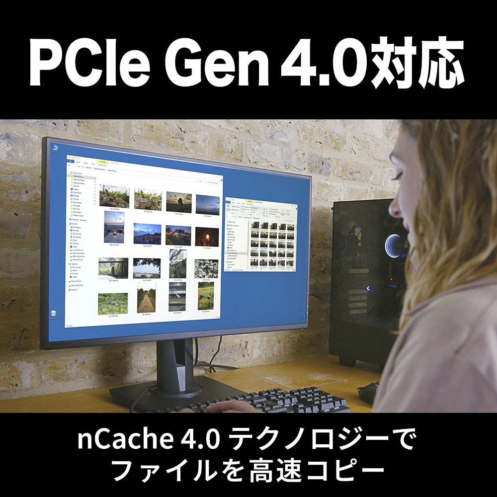 WDS100T4B0E | WDS100T4B0E | WesternDigital WD Blue SN5000 シリーズ