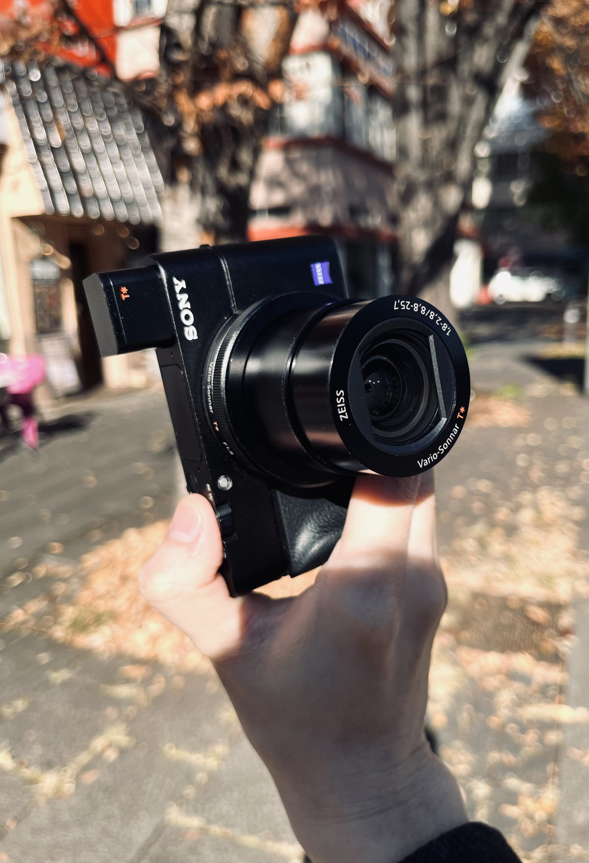 日常生活に”丁度良い”コンデジ】SONY RX100III 使用レビュー