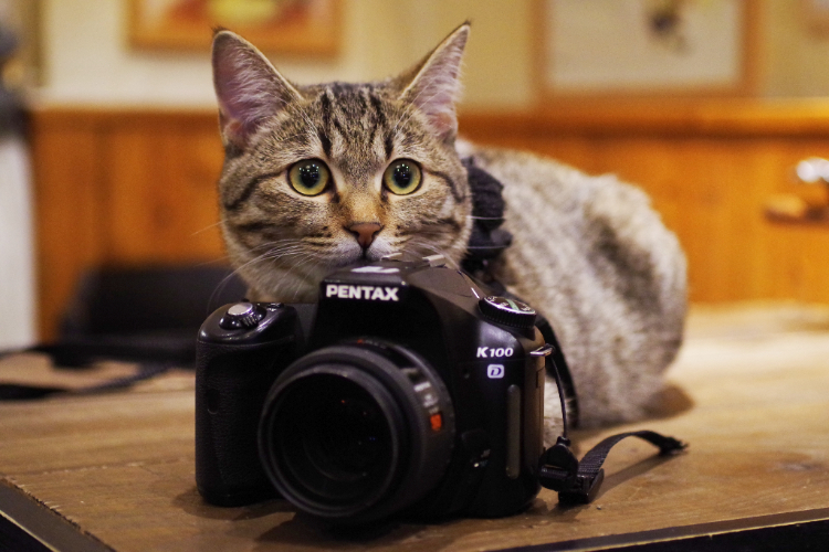 オールドデジカメ」タグのブログ記事一覧｜カメラ買取・販売専門店の