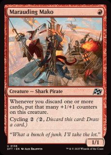 EX]アダーカー荒原/Adarkar Wastes《英語》【DSC】