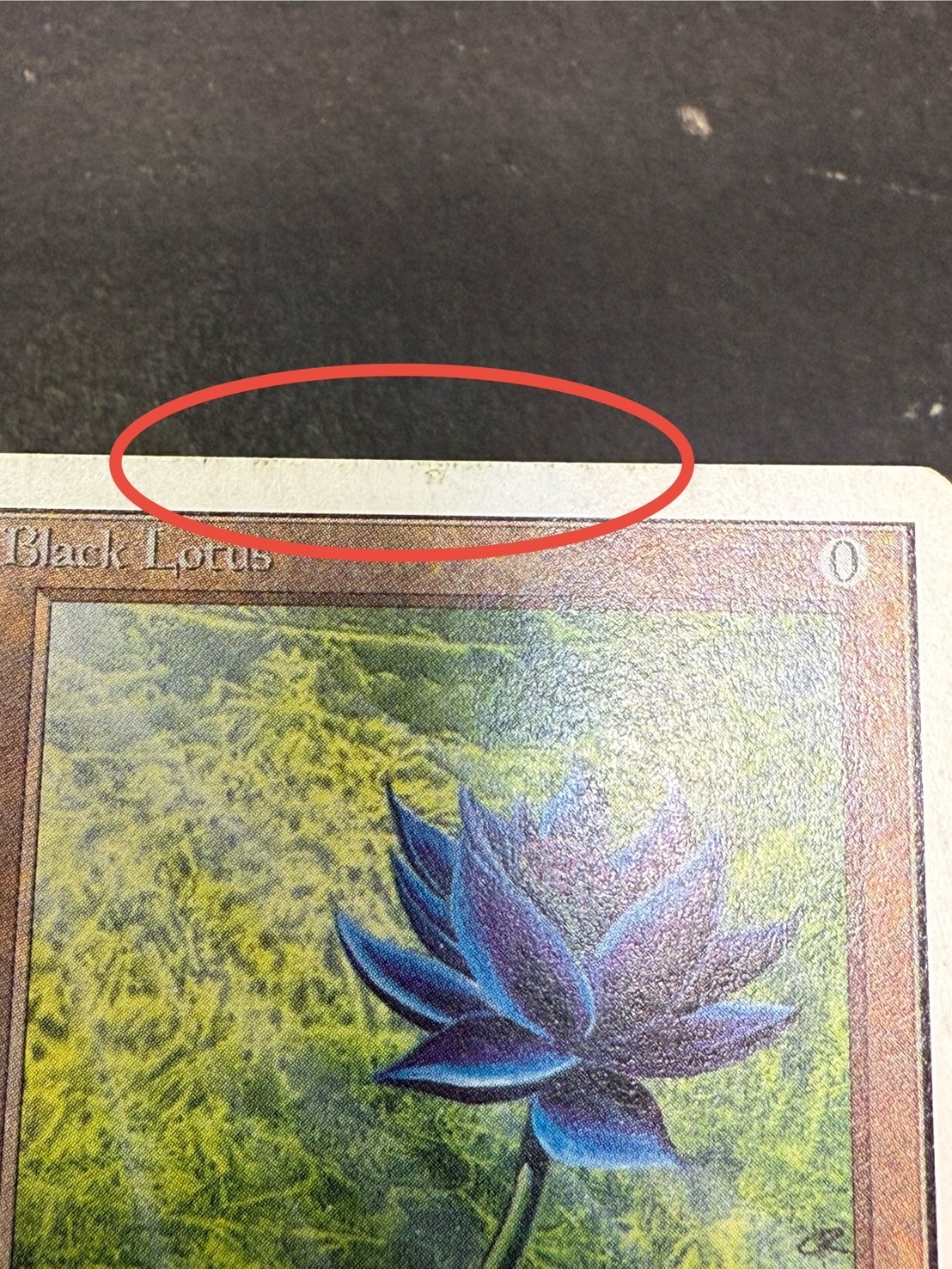 PLD]Black Lotus《英語》【2ED】#237