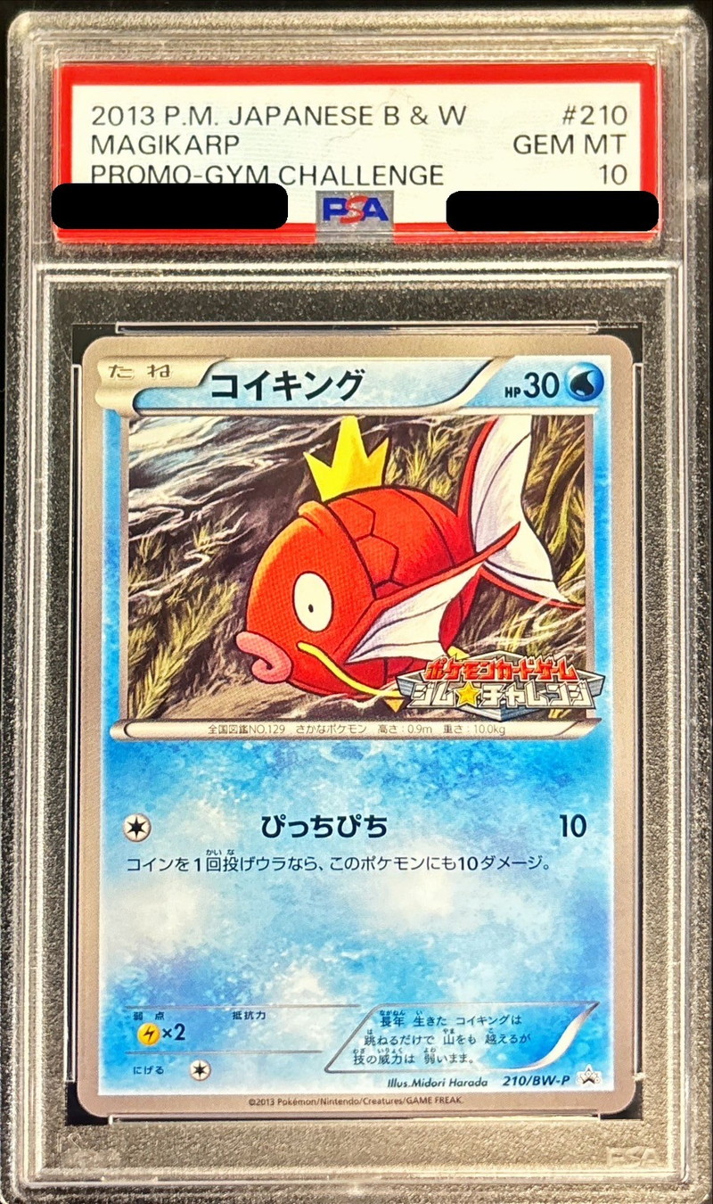 PSA10鑑定済〕コイキング【P】{210/BW-P}