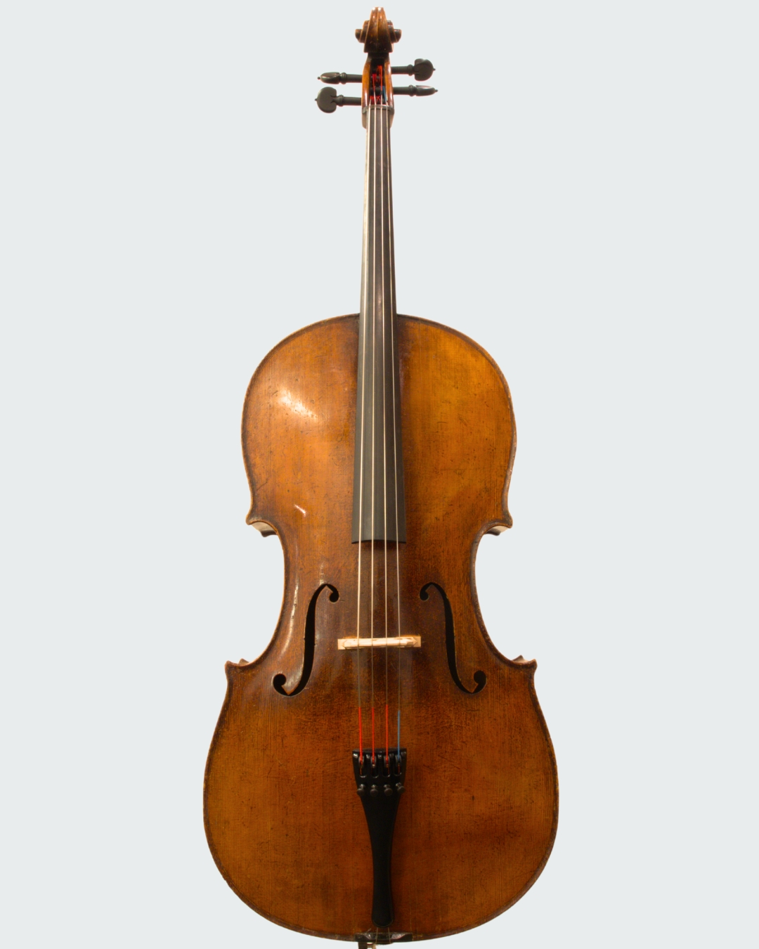 New Arrival】Cello German - 弦楽器専門店シャコンヌ