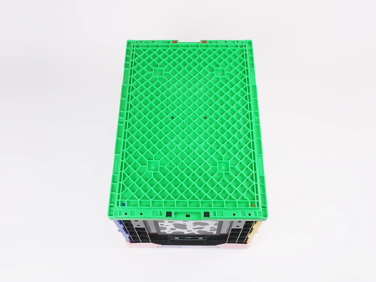 フランク.マイヤー.ボッグ水彩輸入約90年