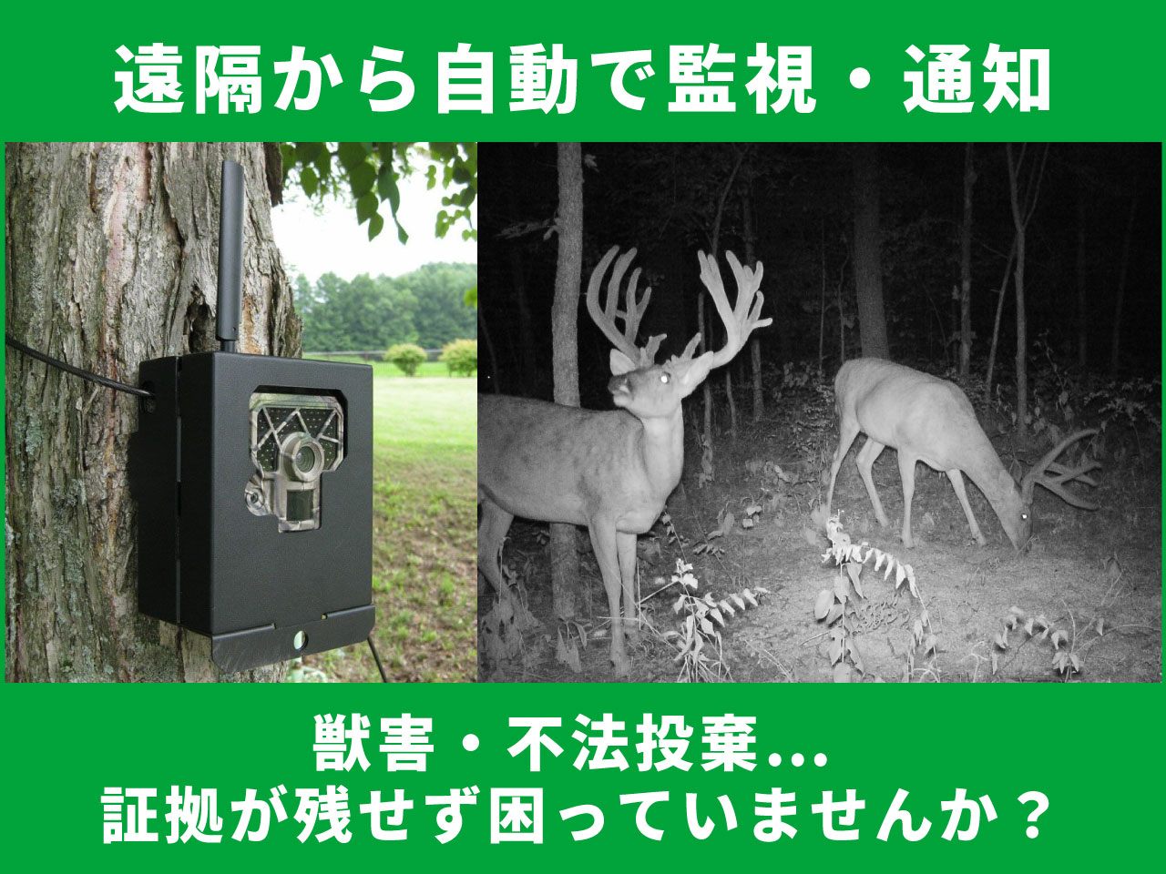 動物監視に最適なカメラ｜屋外で使える通信型トレイルカメラTREL 4G-R