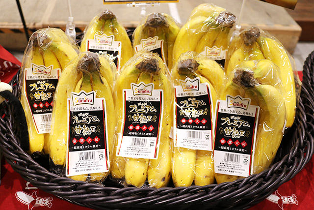 2025年2月6日スミフル社 バナナ・パイン・パパイヤ宣伝会 ｜ 東京