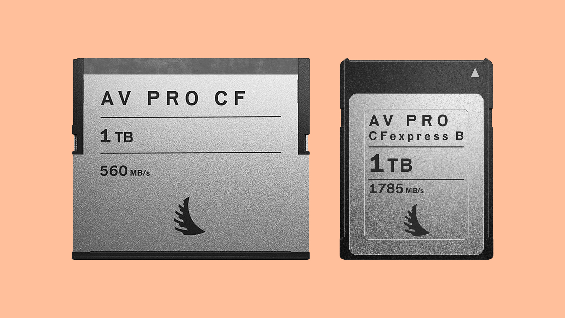Deal Alert: Angelbird 1TB AV Pro MK2 CFexpress Type B & AV Pro
