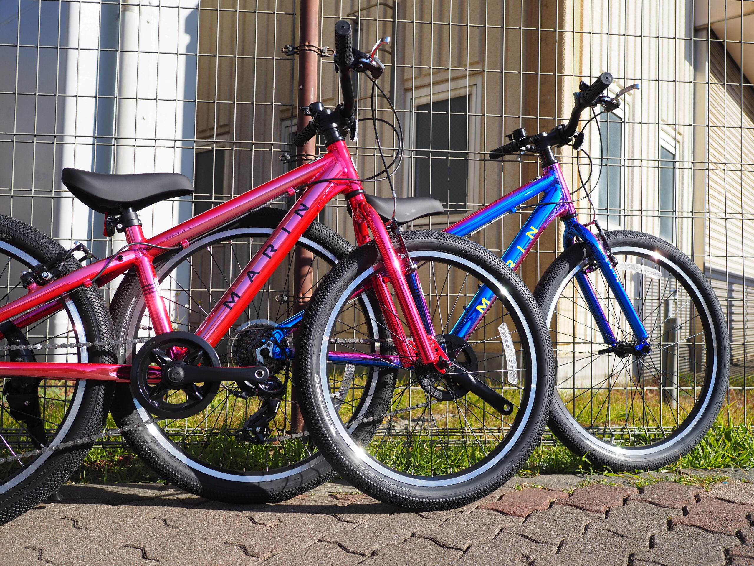 圧倒的きらめき！『MARIN DONKY JR 2025 限定カラー』 店舗ブログ