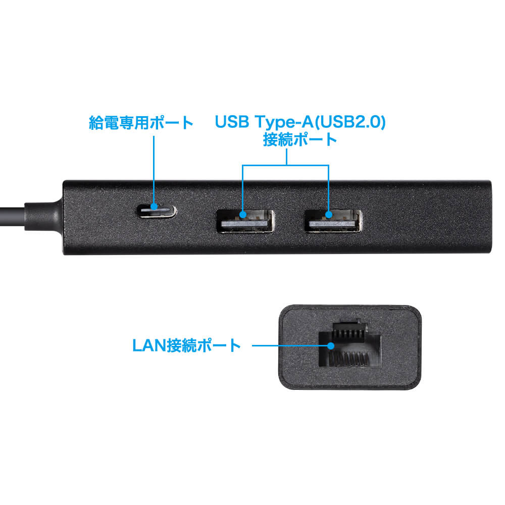 Switch用 有線LAN Wポート＋チャージ | Switch用 周辺機器アクセサリー