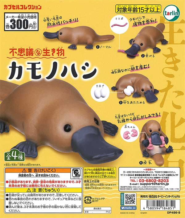 不思議な生き物 カモノハシ （40個入り） | ガチャガチャ通販専門【あ