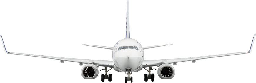 NH20148 1:200 BOEING 737-800 JA85AN 東北FLOWER JET ABS樹脂完成品