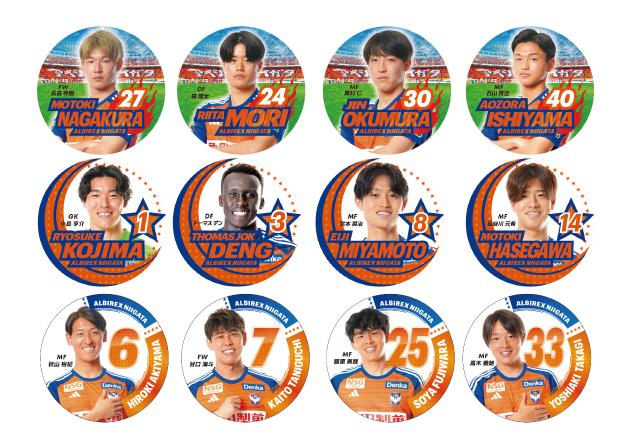 アルビレックス6 ジャージ上 首里城再建に寄付 アルビレックス6