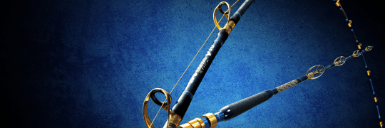 翠渓 硬調 | alphatackle