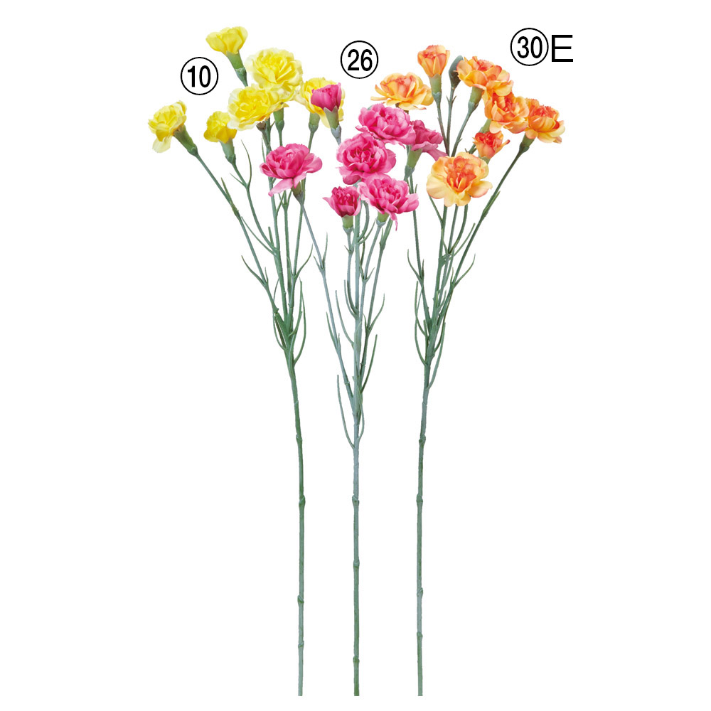 デルフィニウム｜商品案内｜株式会社アスカ商会