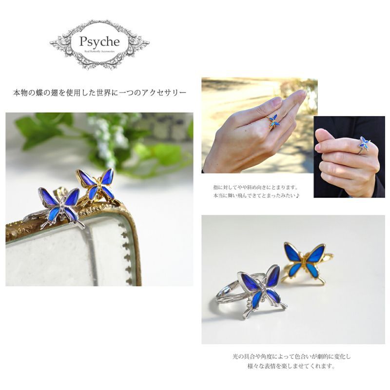 ゼフィリティスモルフォ 蝶の翅 シルバー 925 リング 指輪 【Psyche
