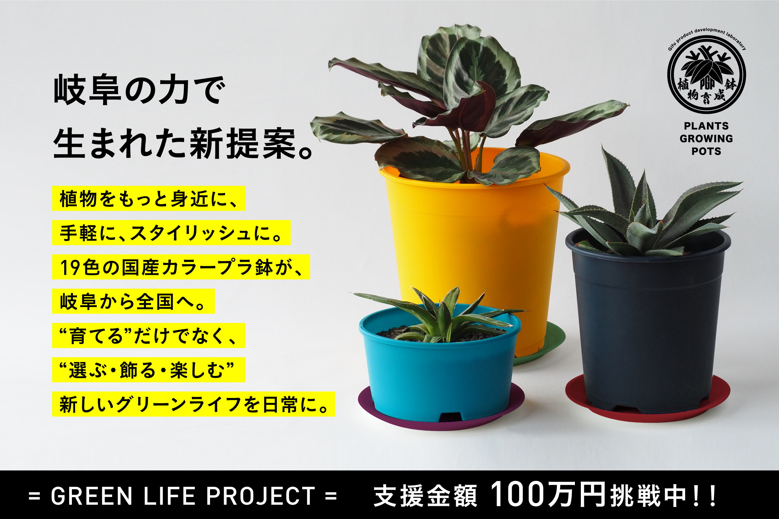 岐阜のものづくりから生まれた、“色で選ぶ、植物と暮らす。” 19色の