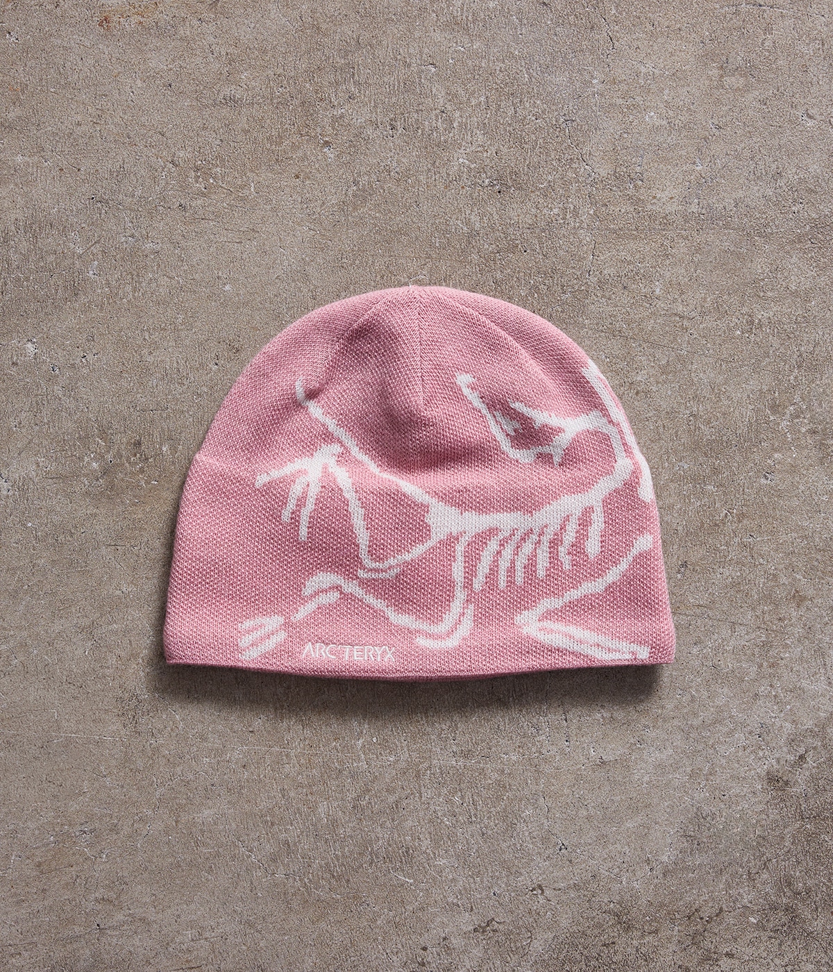 Bird Head Toque (エクスクルーシブモデル) | ARC'TERYX
