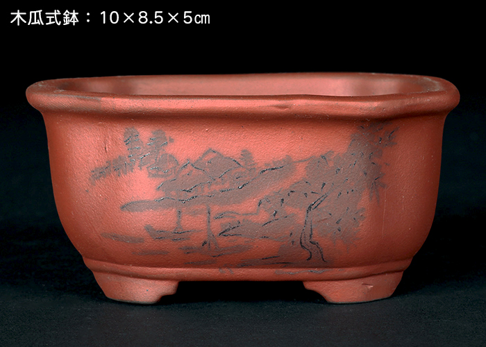 瀬戸焼文山窯朱泥絵付鉢4点セット | 盆栽、盆栽書籍、盆栽鉢の通販