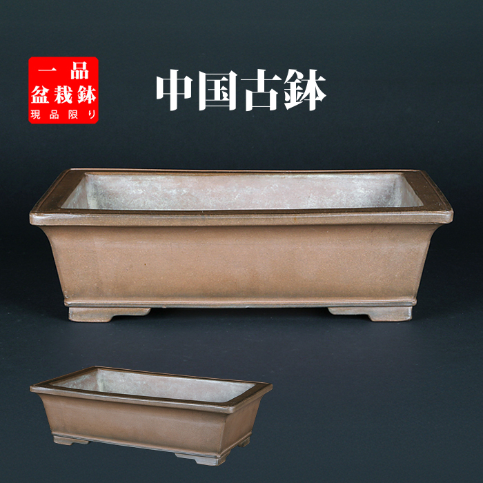 支那鉢（中国古鉢） | 盆栽、盆栽書籍、盆栽鉢の通販│近代出版