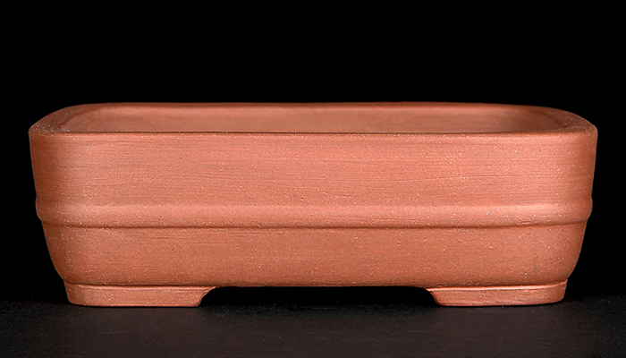 銭号胴紐長方鉢 | 盆栽、盆栽書籍、盆栽鉢の通販│近代出版