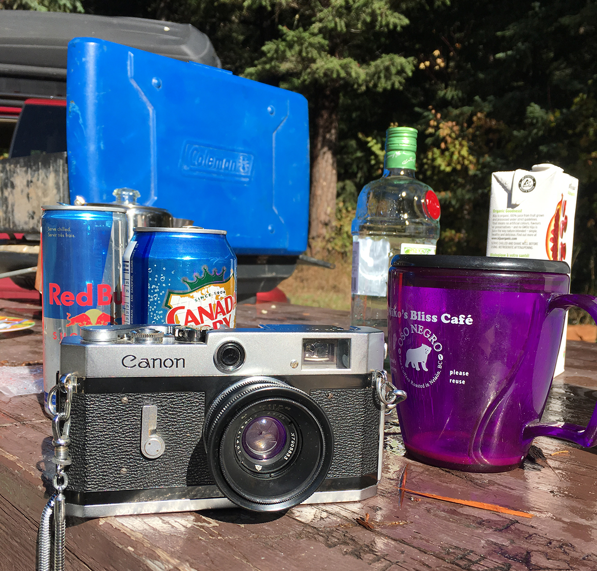 Camera Speed Dating – Canon P with Jupiter-12 35mm f2.8 – Beau