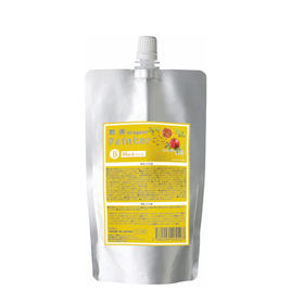 輝髪 ザクロペインターB ソフト 500mlの卸・通販 | ビューティガレージ