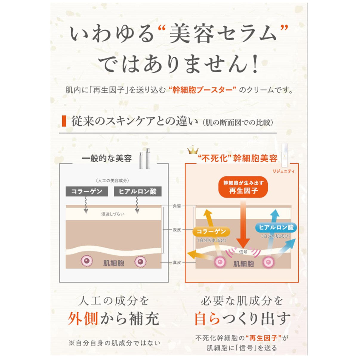 Darwin リジェニティ FKクリーム 30gの卸・通販 | ビューティガレージ