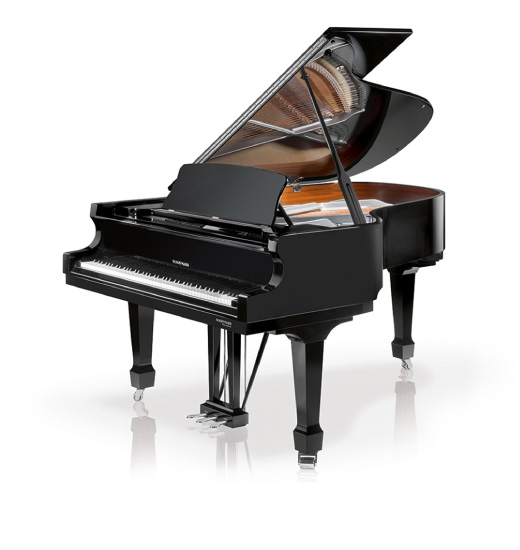 WH 206 P - ベヒシュタインジャパン公式サイト