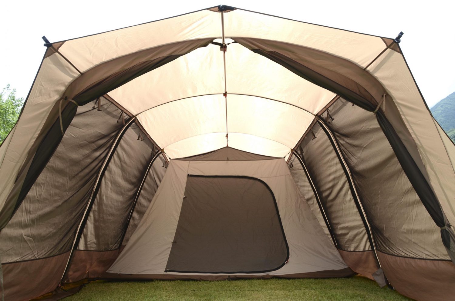 ogawa (オガワ) ／ アポロン | 道具・ギア 【BE-PAL】キャンプ