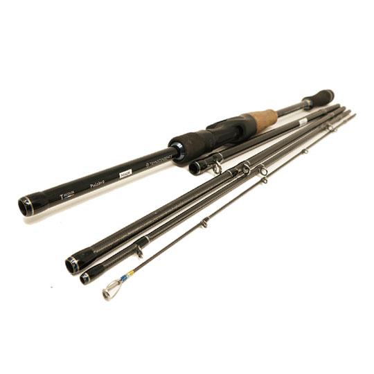 トランスセンデンス プルクラ 62B+ TRANSCENDENCE Pulchra - 【バス