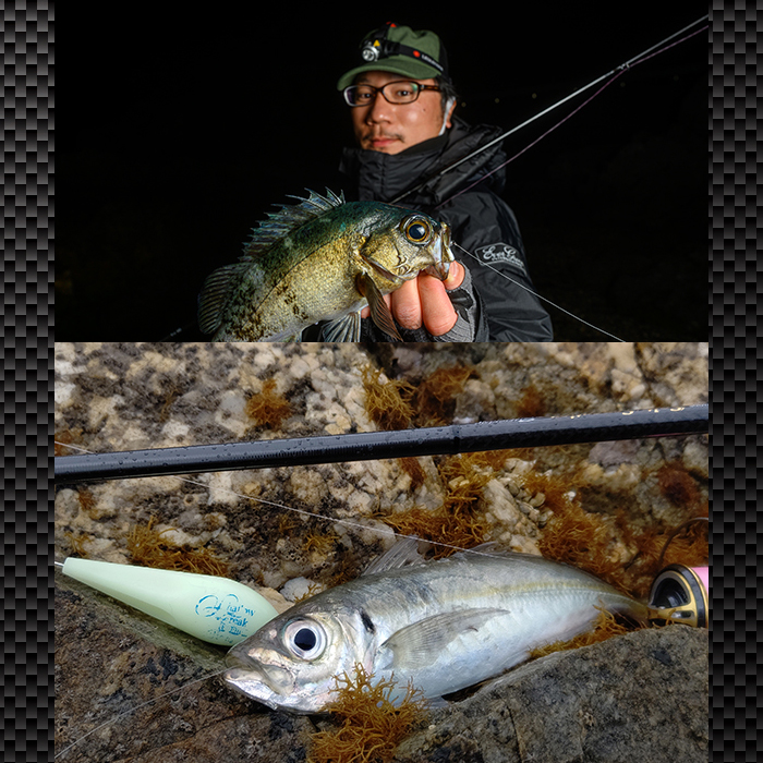 エバーグリーン スペリオル マニューバー SPRS-84M-T - 【バス