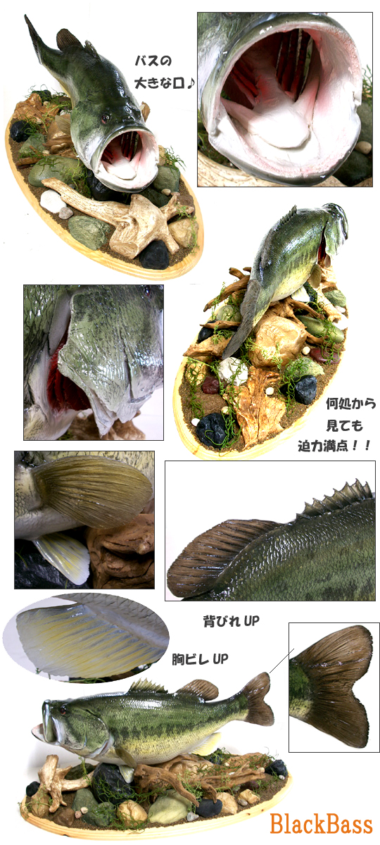 BlackBass/ブラックバス レプリカ ラージマウスバス剥製風インテリア