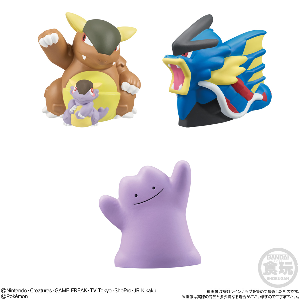 ポケモンキッズ 30周年スペシャル vol.2編｜発売日：2026年5月