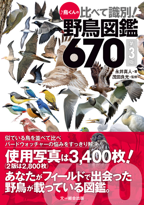 ♪鳥くんの比べて識別！野鳥図鑑670 第3版