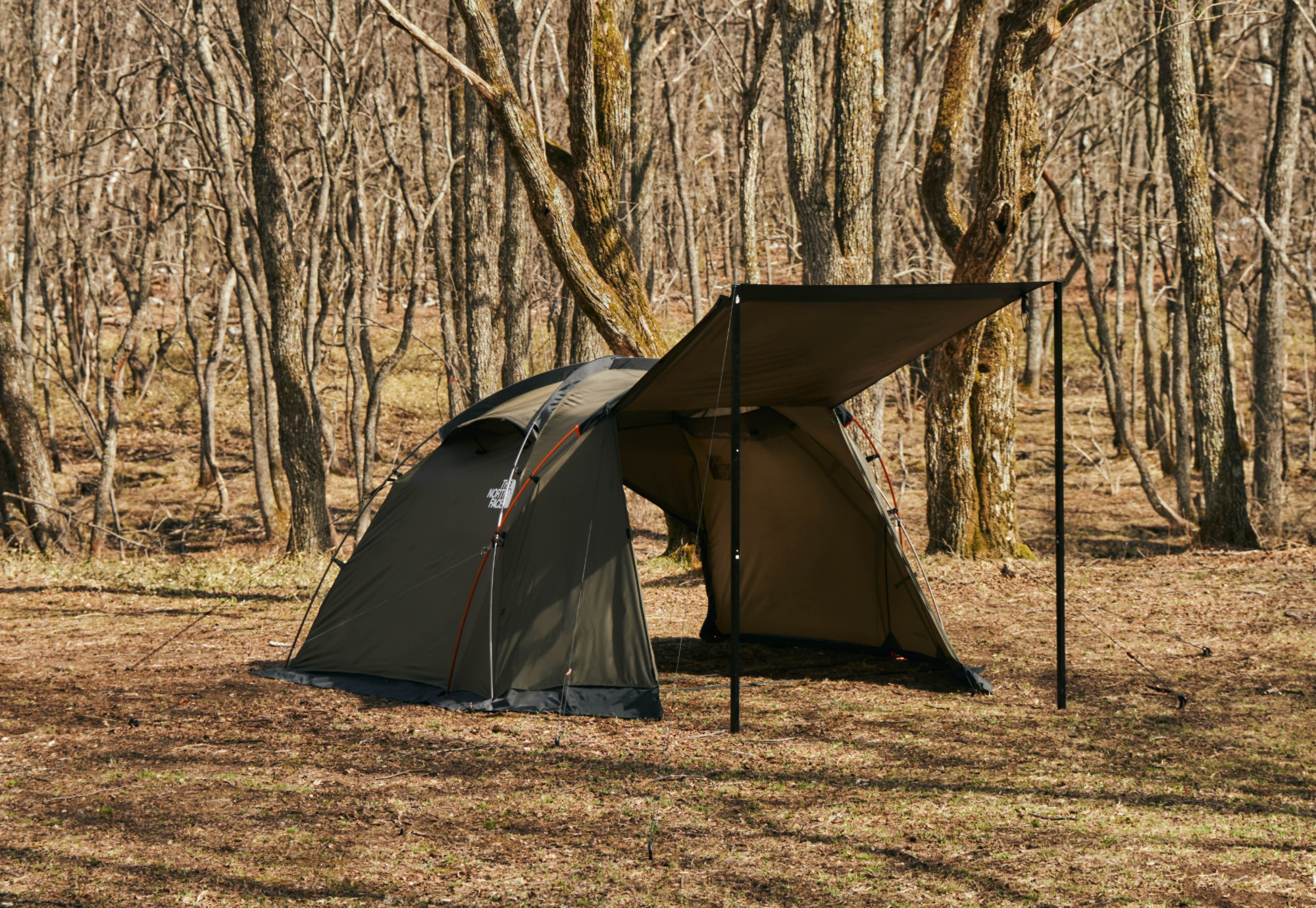 Tent & Tarp | THE NORTH FACE CAMP ノースフェイステント