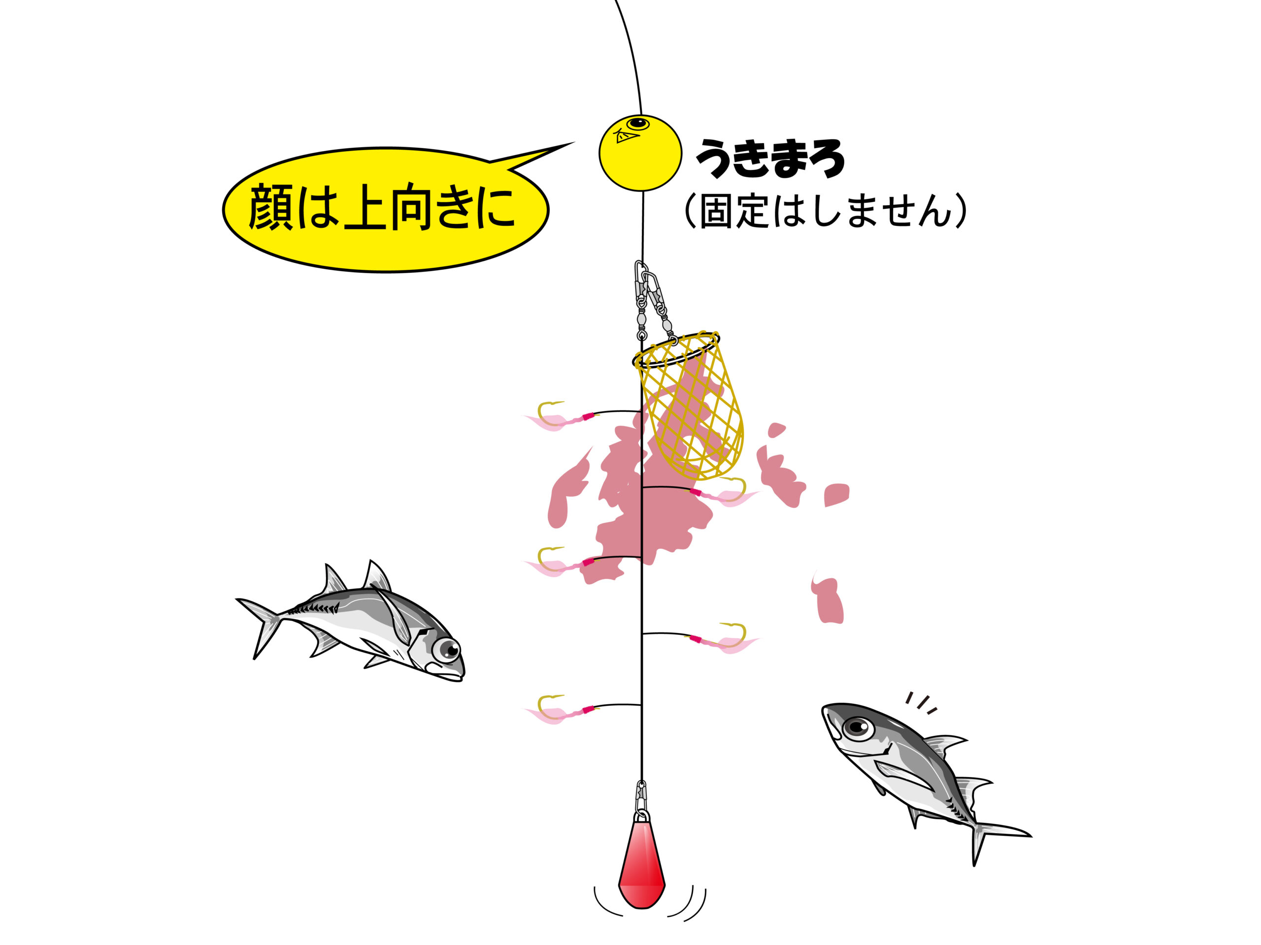 うきまろサビキ 上カゴ式 シリーズ | がまかつ