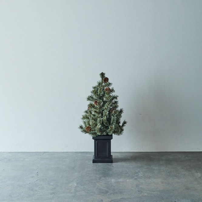 studio CLIP CHRISTMAS TREE