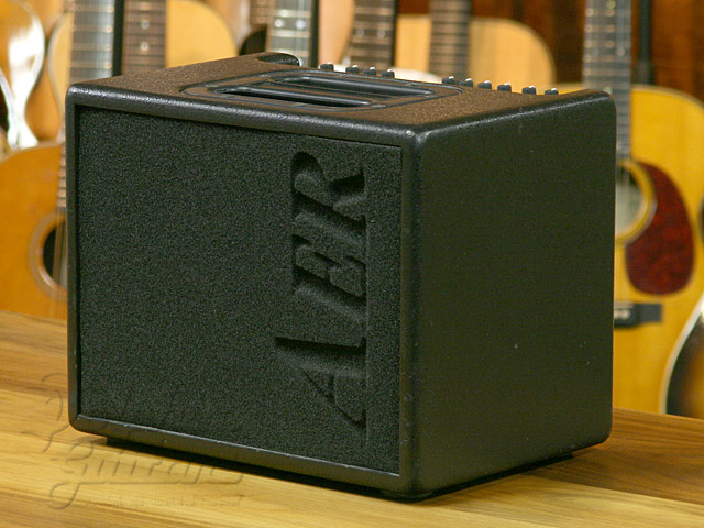 AER BINGO|ドルフィンギターズ