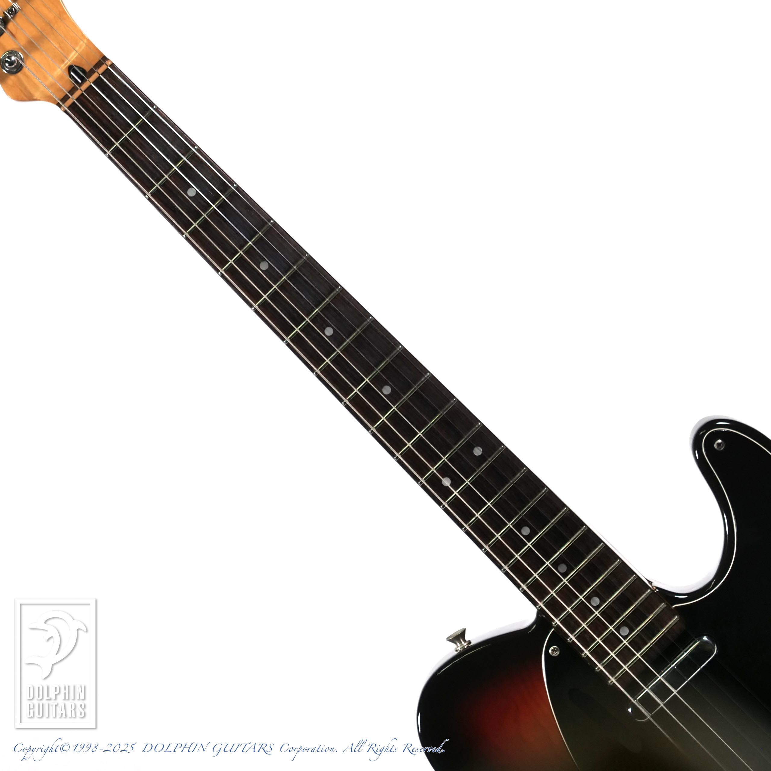FENDER JAPAN TLM-55|ドルフィンギターズ