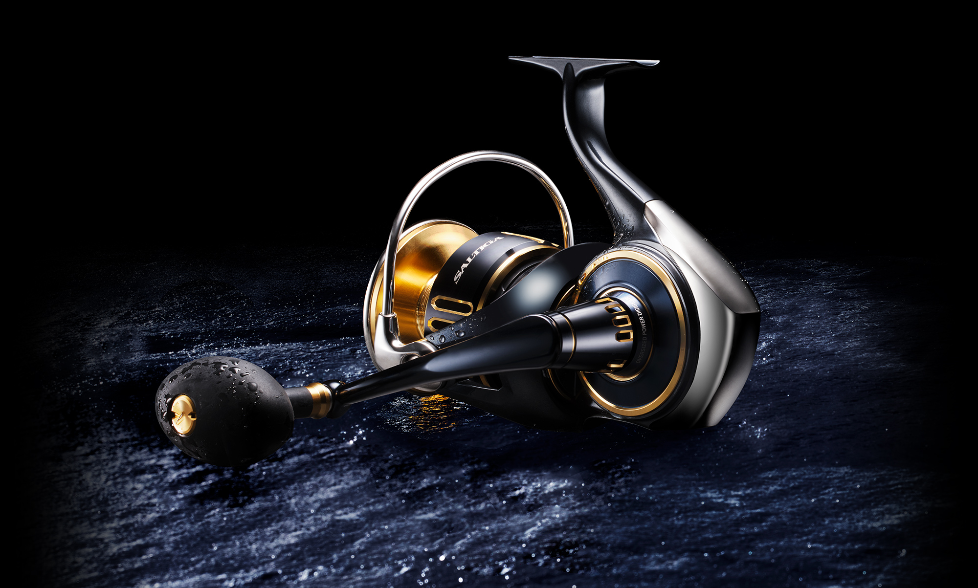 25SALTIGA｜DAIWA