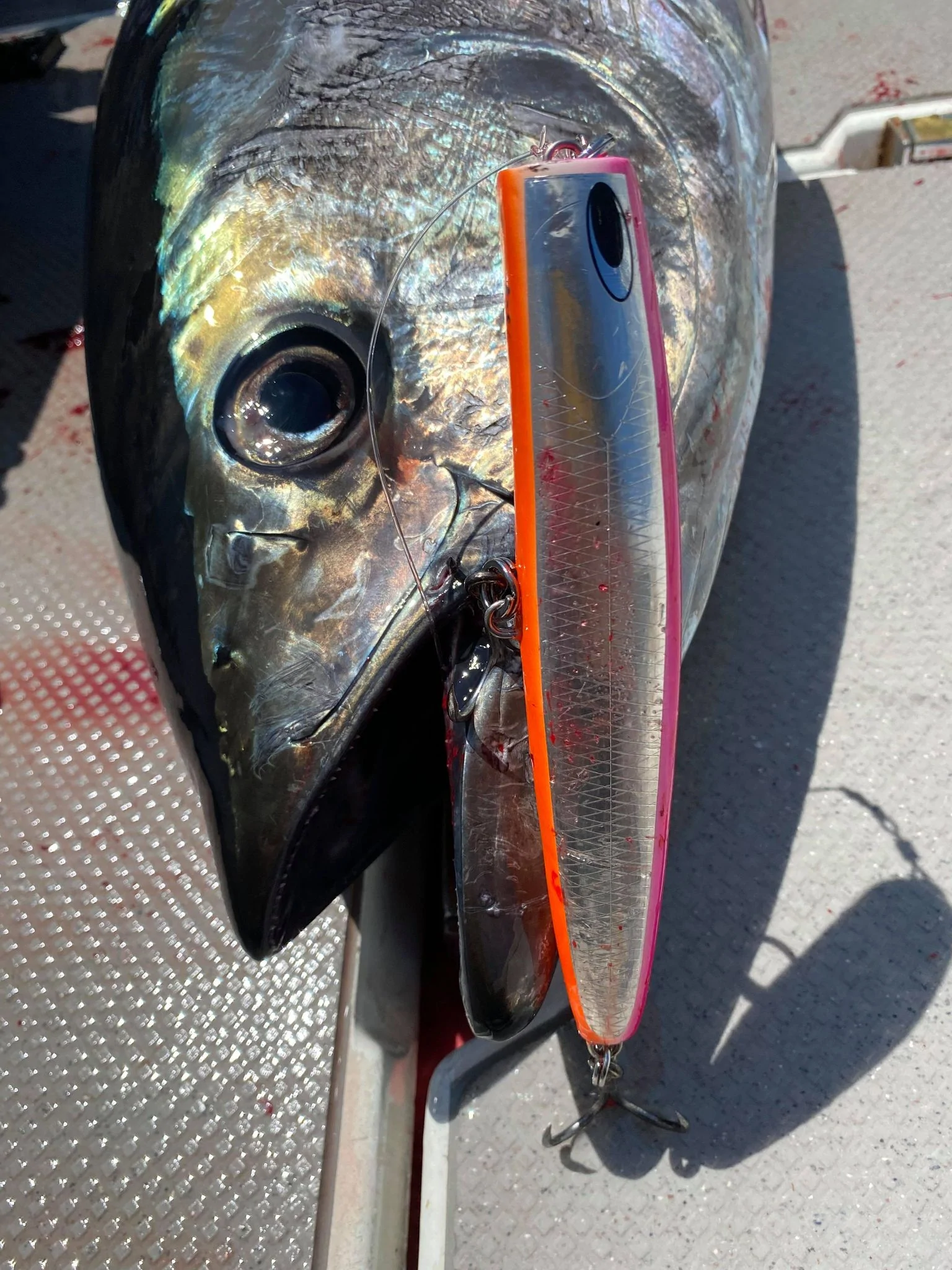 PELICAN180F/ペリカン180F ‣ ネイチャーボーイズ