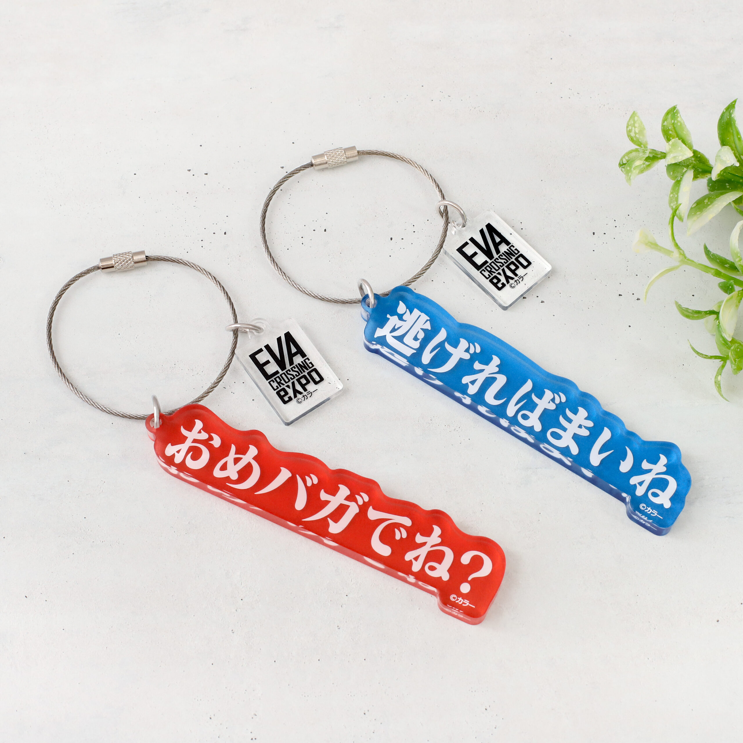 エヴァ博ついに青森上陸！New'sホールで7月6日(土)開幕！