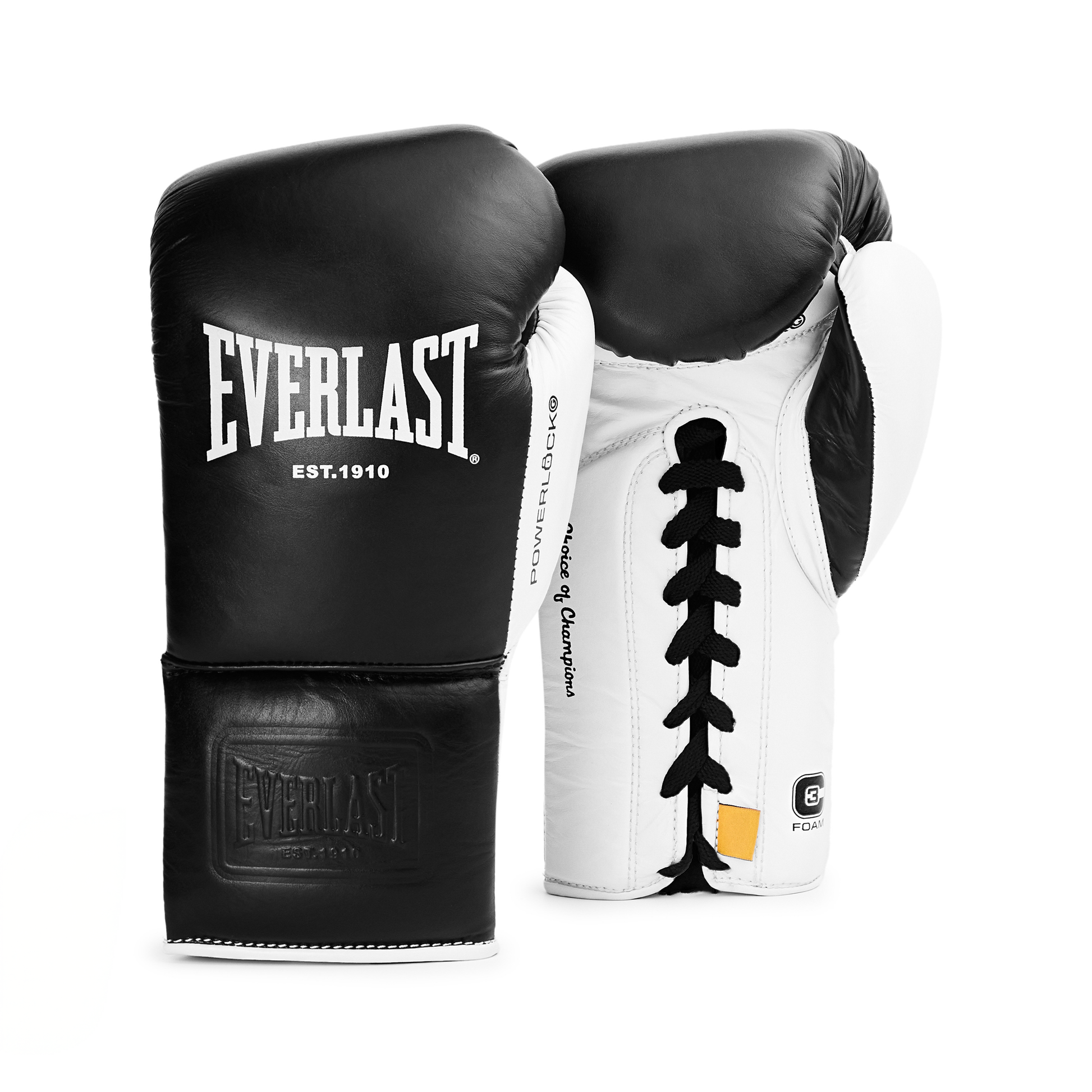 Powerlock OG Pro Fight Glove – Everlast