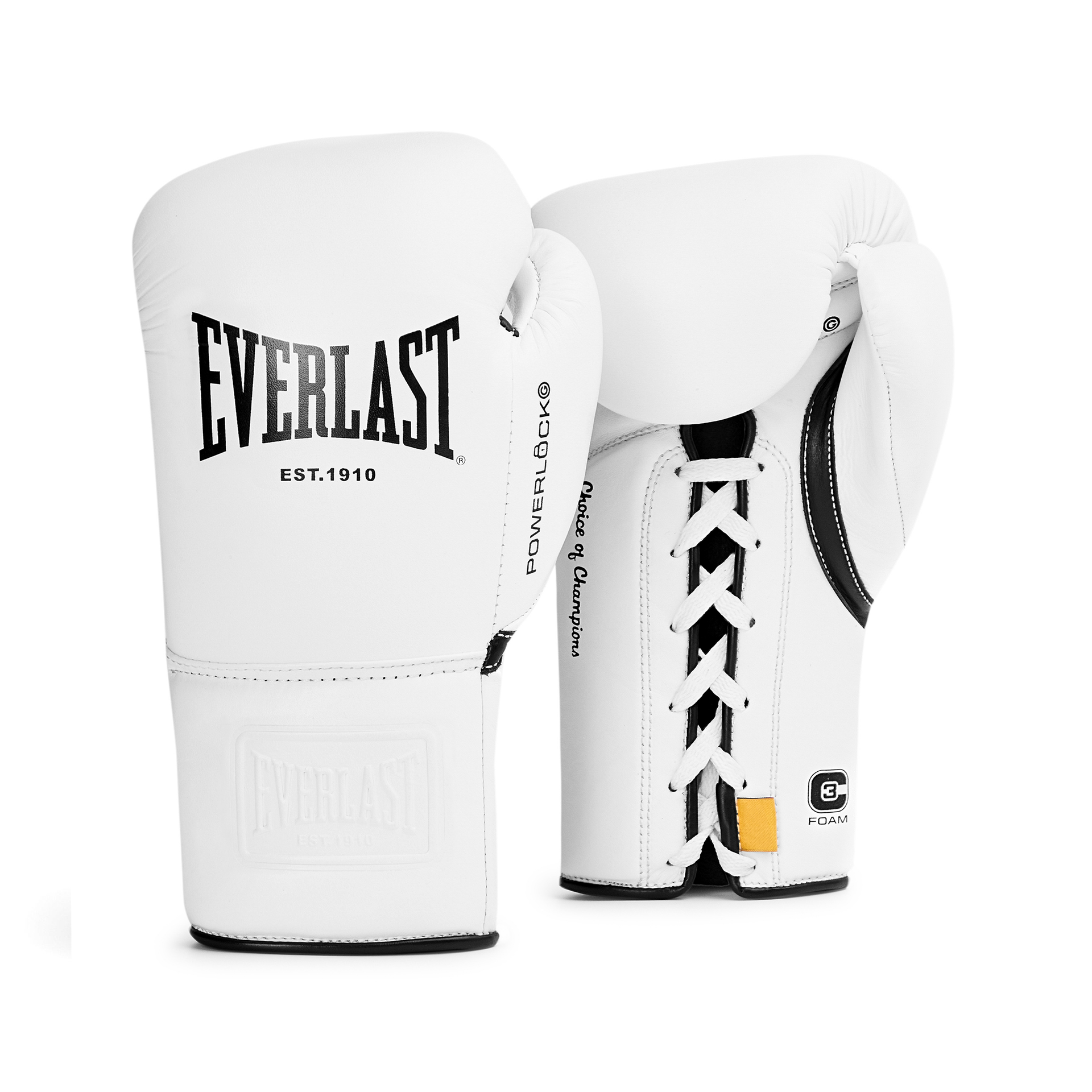 Powerlock OG Pro Fight Glove – Everlast